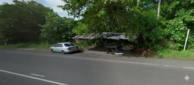 Farmers market produce in Jamaica